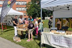 festival-remesel-hradec-kralove-99