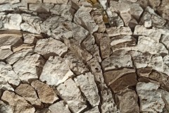 Mozaika-Flow-Building-6